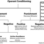 Behaviorism And Social Learning EDPR 2111