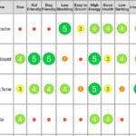 Eric Rowell On Twitter Ultimate Dog Breed Chart Via ericdrowell