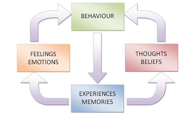 The Behaviour Cycle
