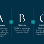 Modelo ABC De Comportamiento LeafWing Center